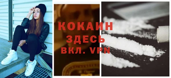 твердый Алзамай