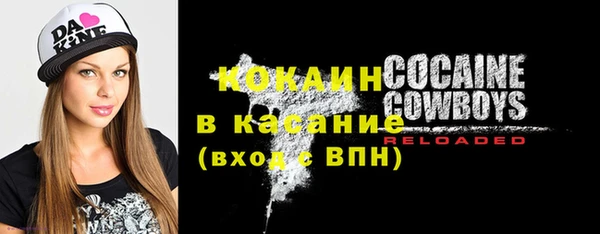 твердый Алзамай