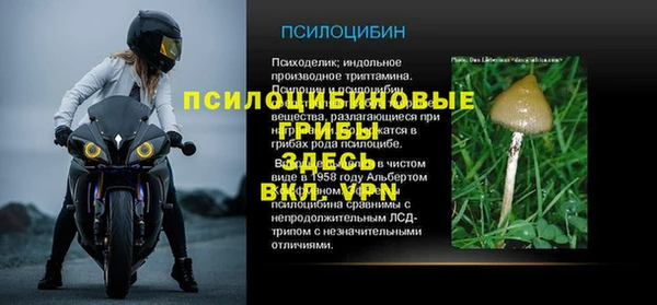 твердый Алзамай