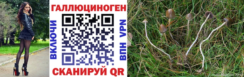 цена наркотик  Находка  Псилоцибиновые грибы ЛСД 